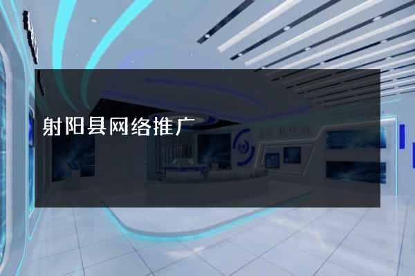 射阳县网络推广