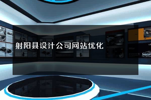 射阳县设计公司网站优化