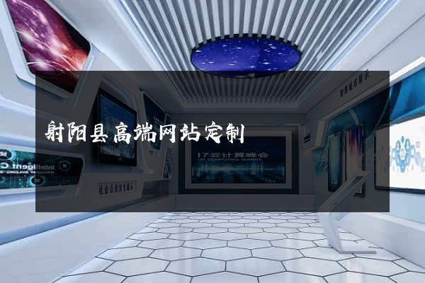 射阳县高端网站定制