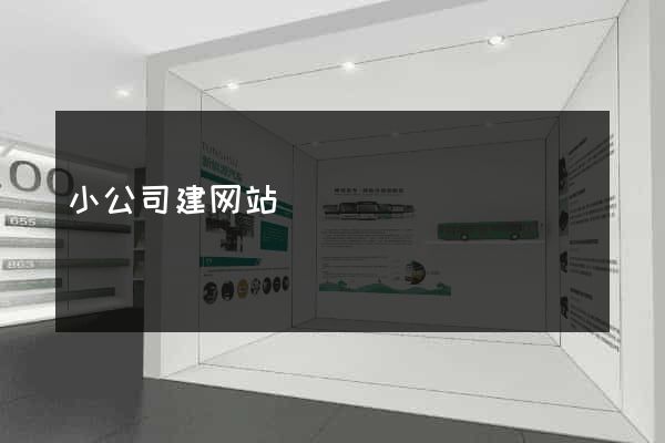 小公司建网站