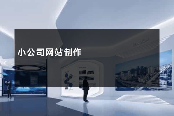 小公司网站制作