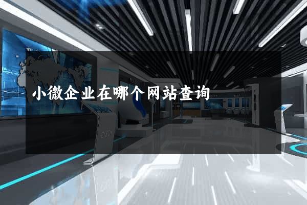 小微企业在哪个网站查询