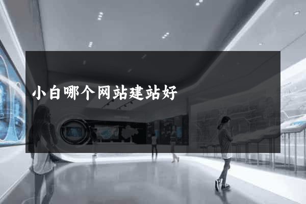 小白哪个网站建站好