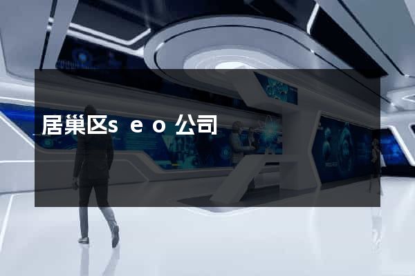居巢区seo公司