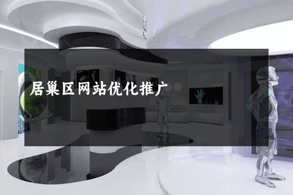 居巢区网站优化推广