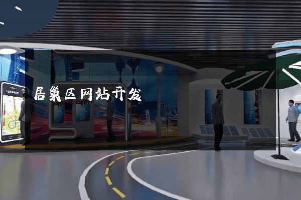 居巢区网站开发