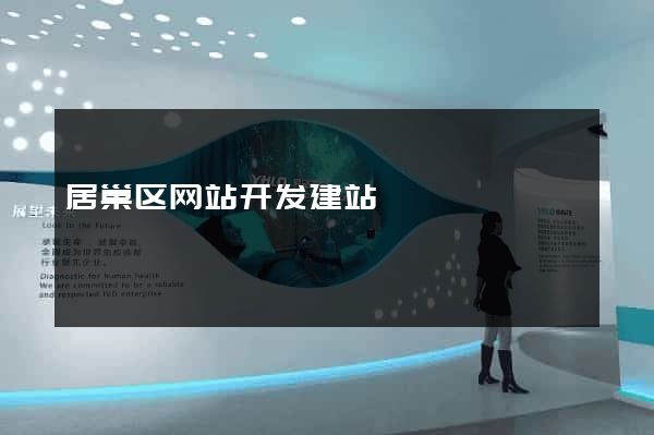 居巢区网站开发建站