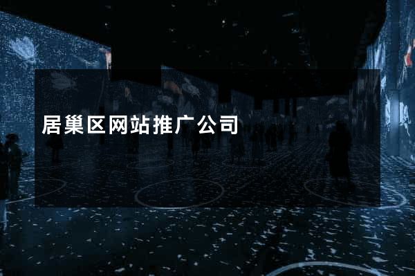 居巢区网站推广公司