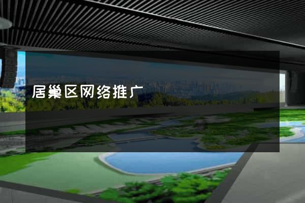 居巢区网络推广