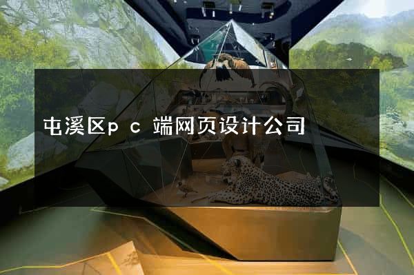 屯溪区pc端网页设计公司