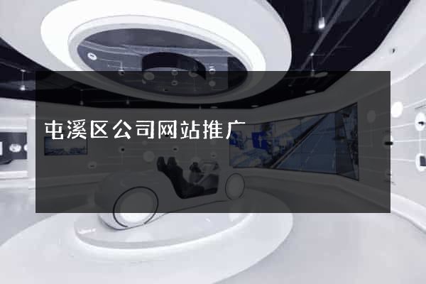 屯溪区公司网站推广