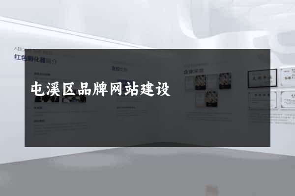 屯溪区品牌网站建设