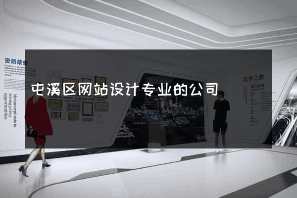 屯溪区网站设计专业的公司