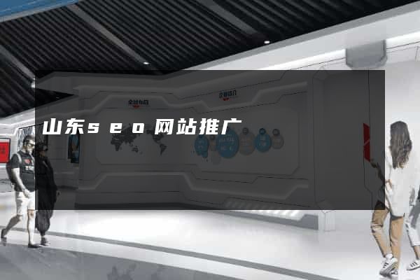山东seo网站推广