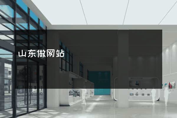 山东做网站