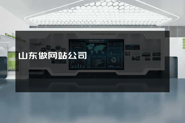 山东做网站公司