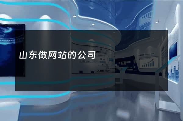 山东做网站的公司