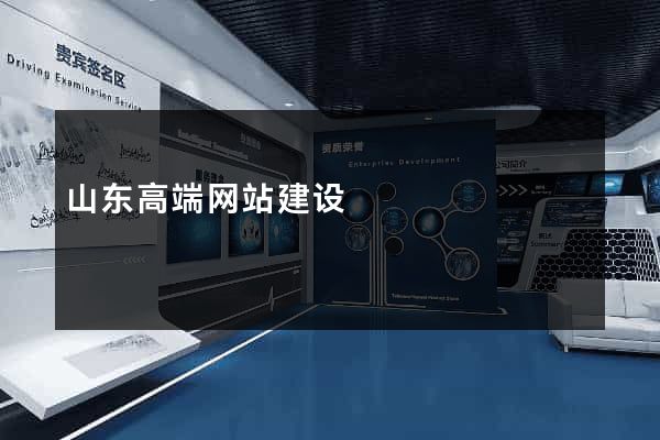 山东高端网站建设