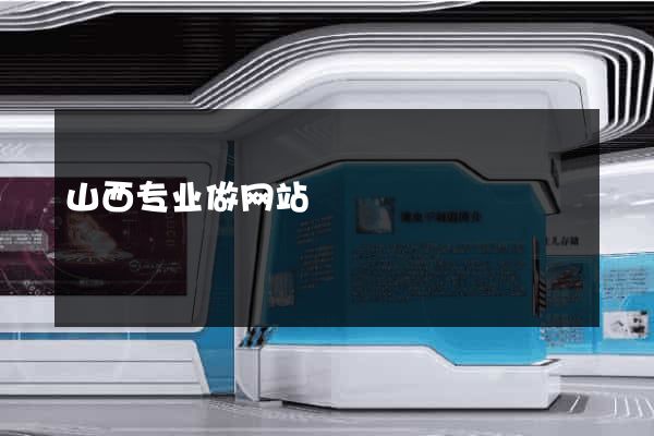山西专业做网站