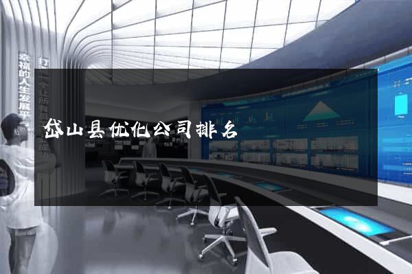 岱山县优化公司排名
