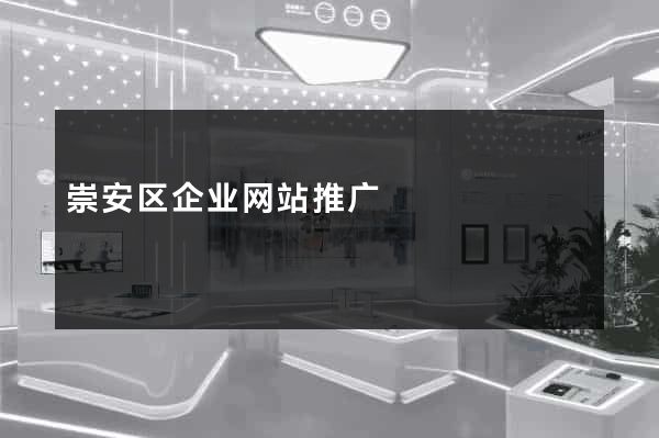 崇安区企业网站推广