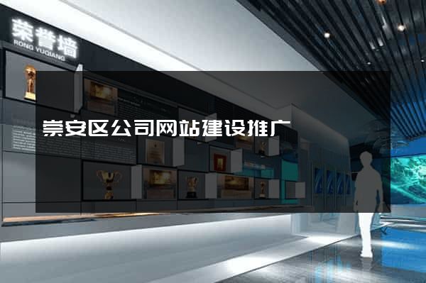 崇安区公司网站建设推广
