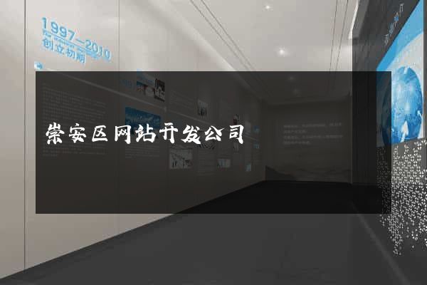 崇安区网站开发公司