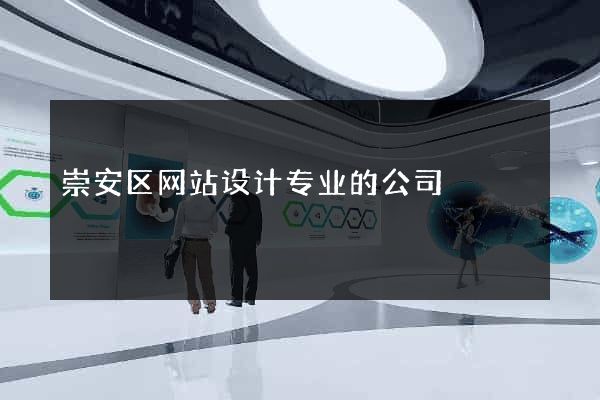 崇安区网站设计专业的公司