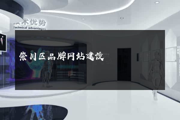 崇川区品牌网站建设
