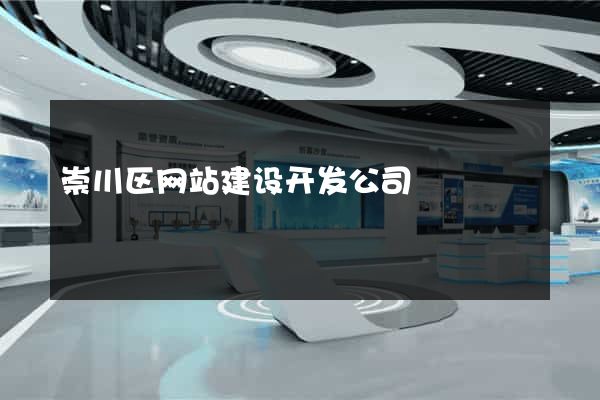 崇川区网站建设开发公司