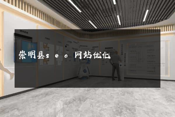 崇明县seo网站优化