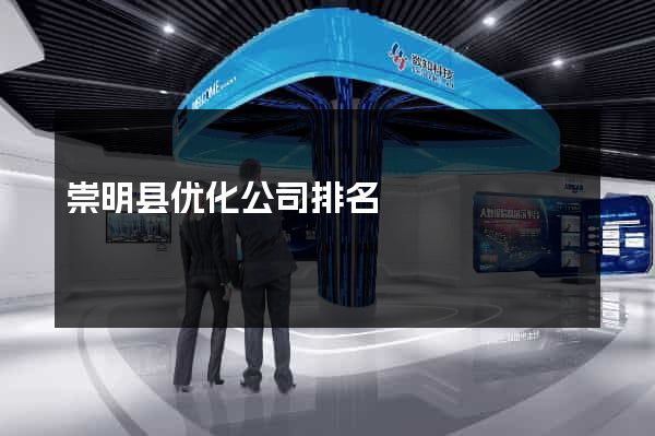 崇明县优化公司排名