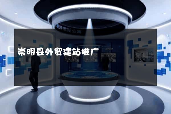 崇明县外贸建站推广