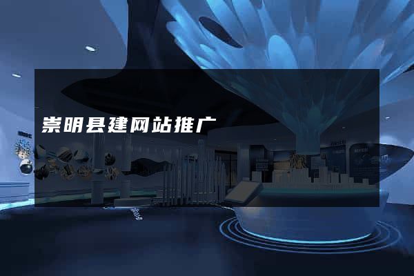崇明县建网站推广