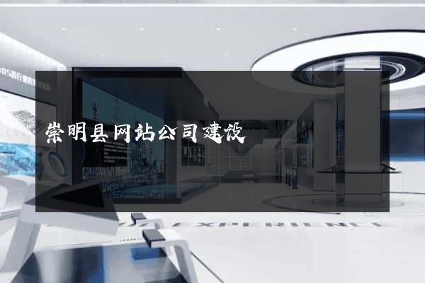 崇明县网站公司建设