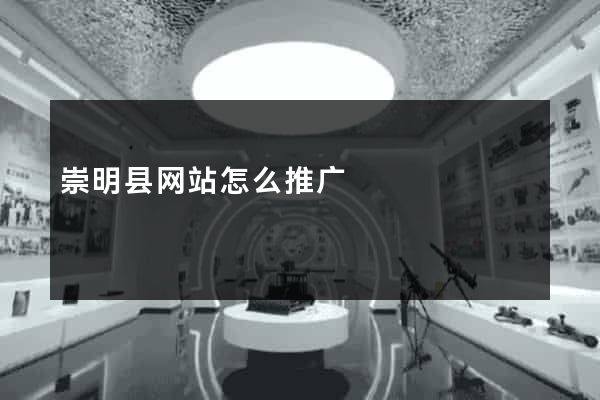 崇明县网站怎么推广