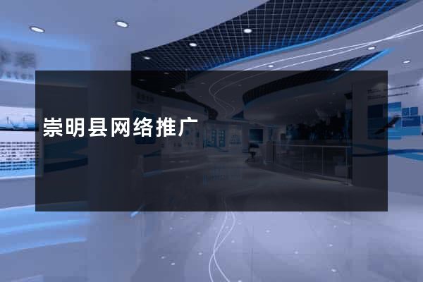 崇明县网络推广