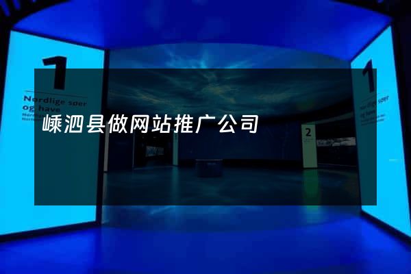 嵊泗县做网站推广公司