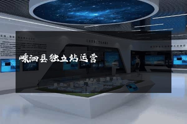 嵊泗县独立站运营