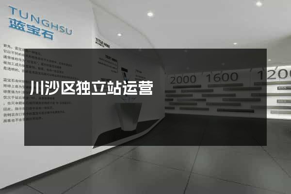 川沙区独立站运营