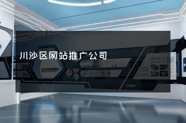 川沙区网站推广公司