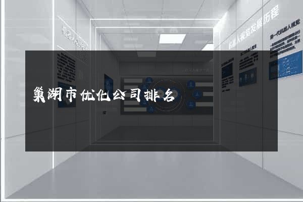 巢湖市优化公司排名