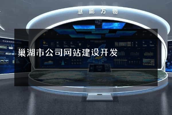 巢湖市公司网站建设开发