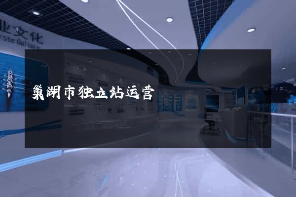 巢湖市独立站运营