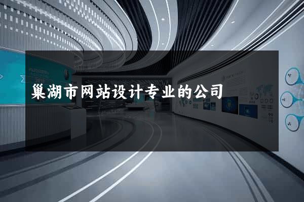 巢湖市网站设计专业的公司
