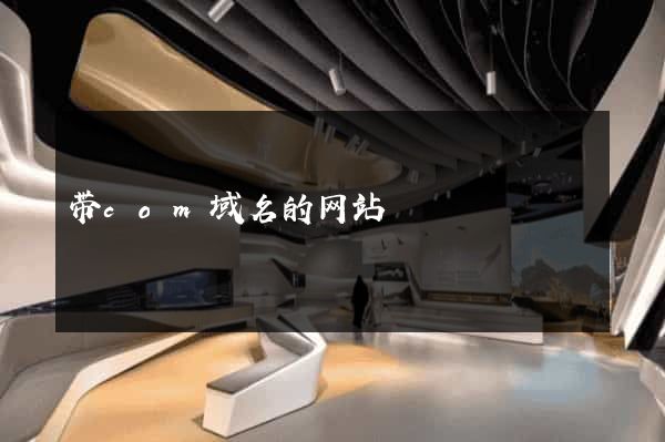 带com域名的网站