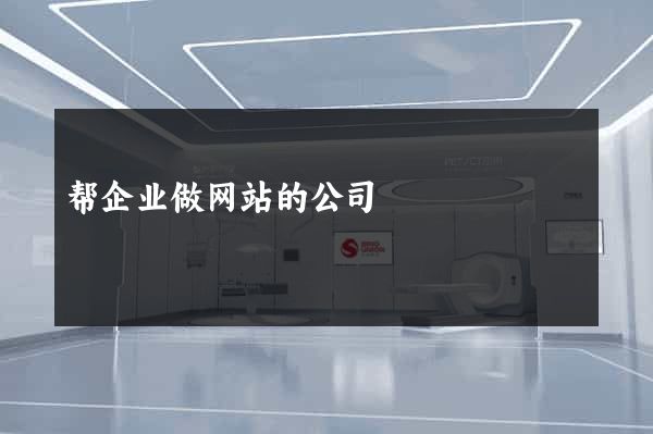 帮企业做网站的公司