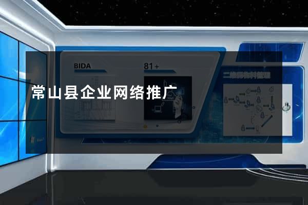 常山县企业网络推广