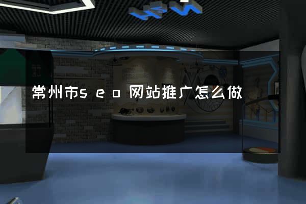 常州市seo网站推广怎么做