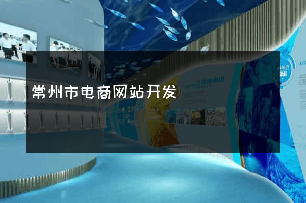 常州市电商网站开发